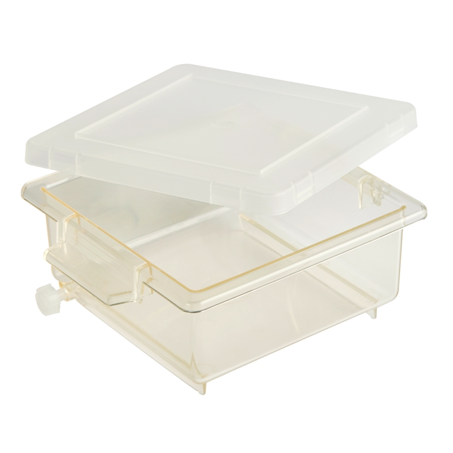 Staining box TPX 125x125x50 mm